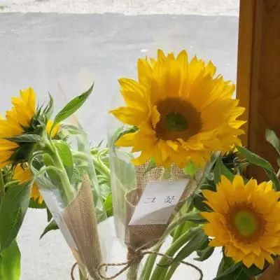 星空game平台截图